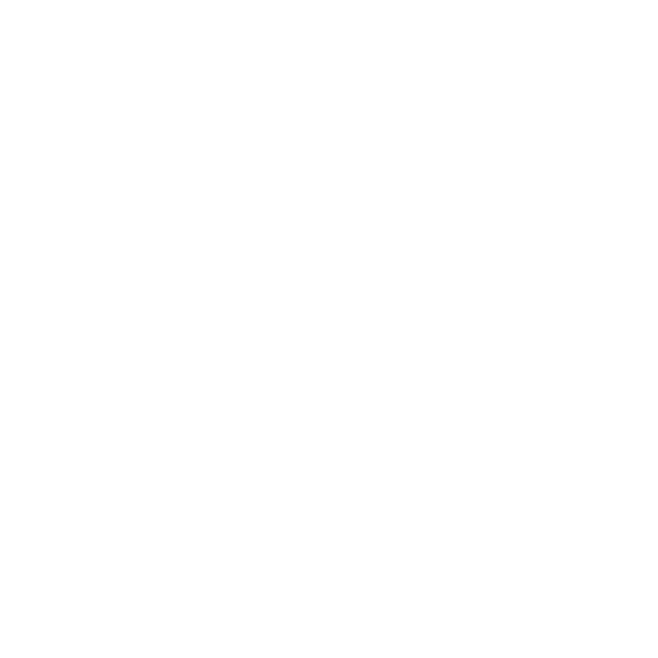 FLAKKGOTTIN